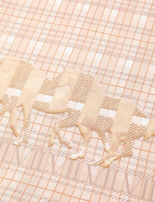 Dakota Beige Unisex Shawl